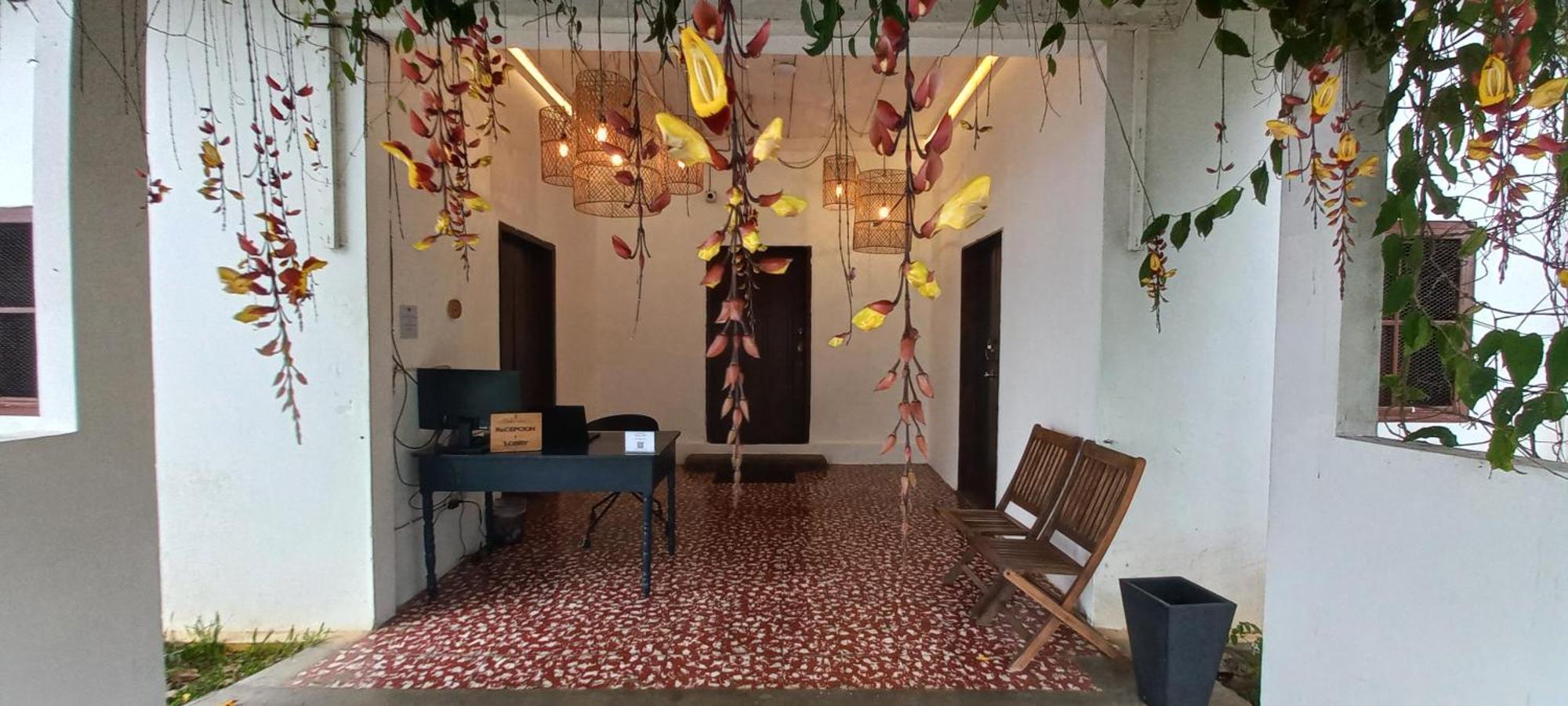 Casa 1800 Los Naranjos Boutique Hotel Luaran gambar